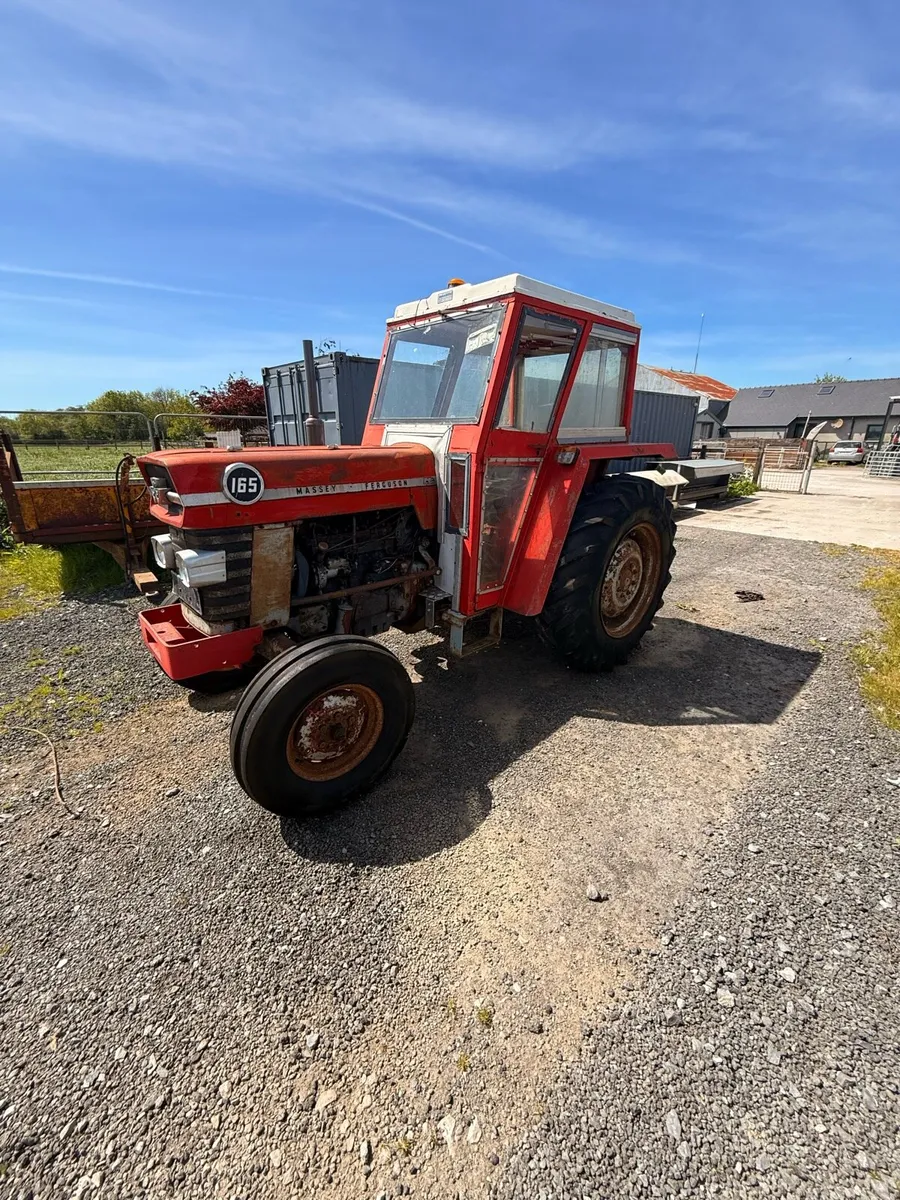 MASSEY FERGUSON 165 - Image 2