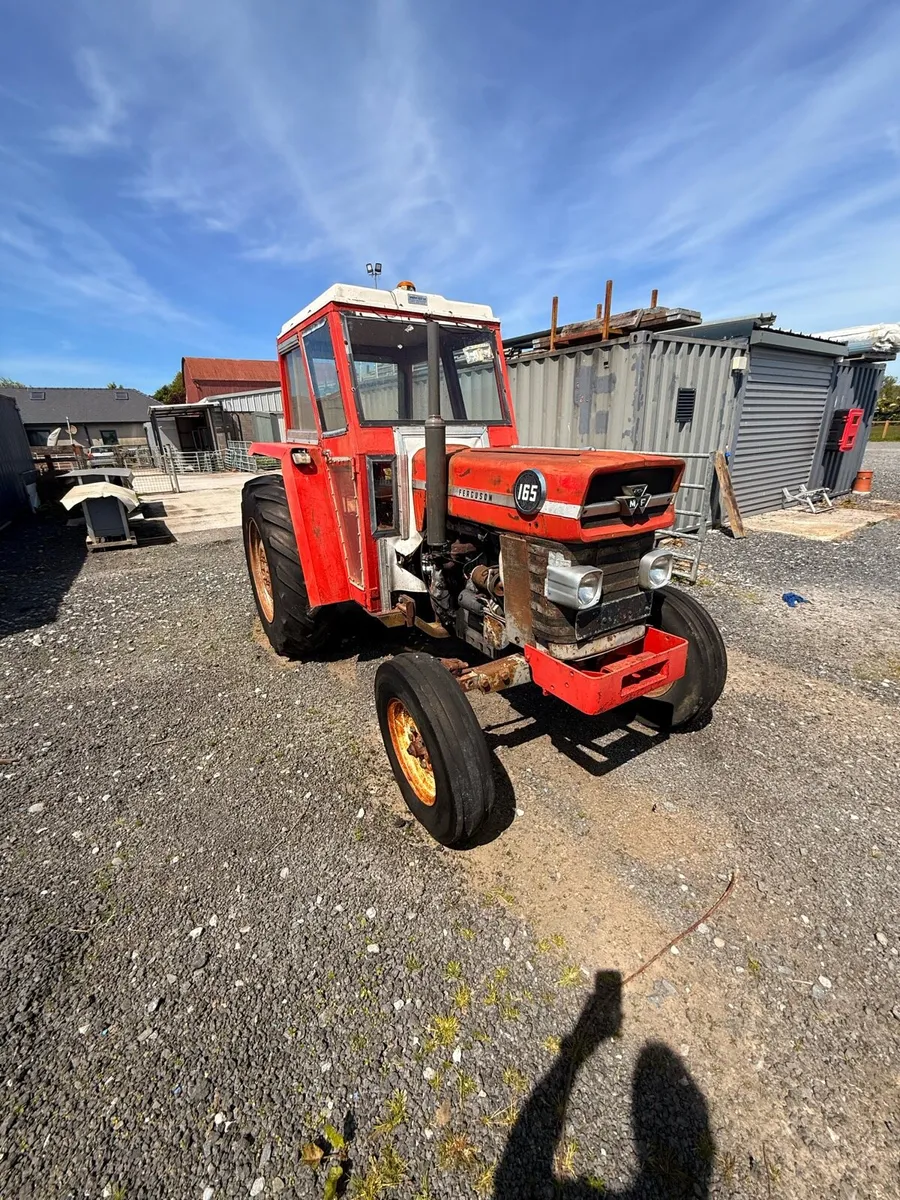 MASSEY FERGUSON 165 - Image 3