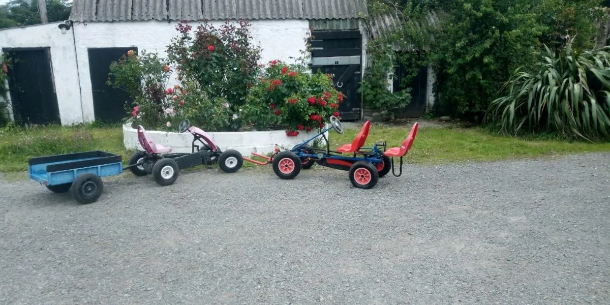 2 Berg go-karts - Image 1