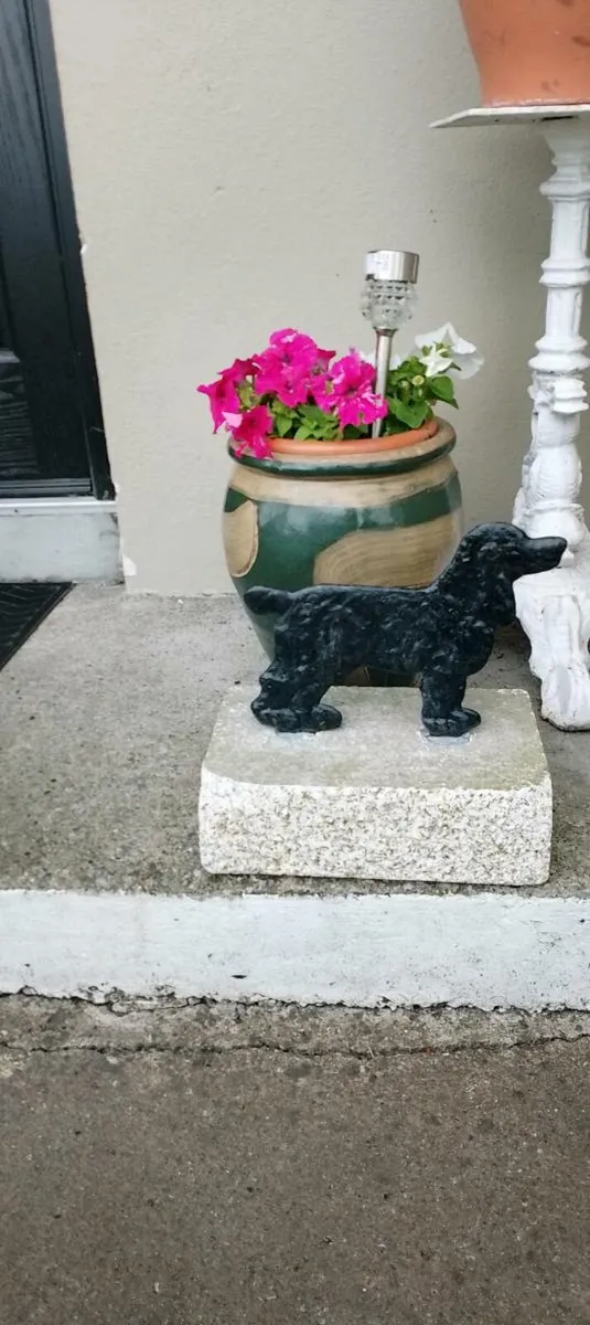 Black 🐈‍⬛ dog boot scraper - Image 1