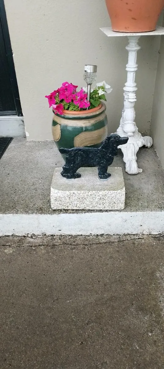 Black 🐈‍⬛ dog boot scraper - Image 3