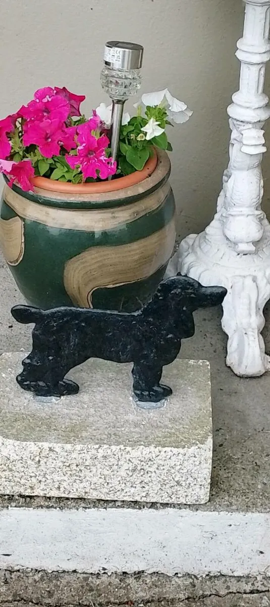 Black 🐈‍⬛ dog boot scraper - Image 4