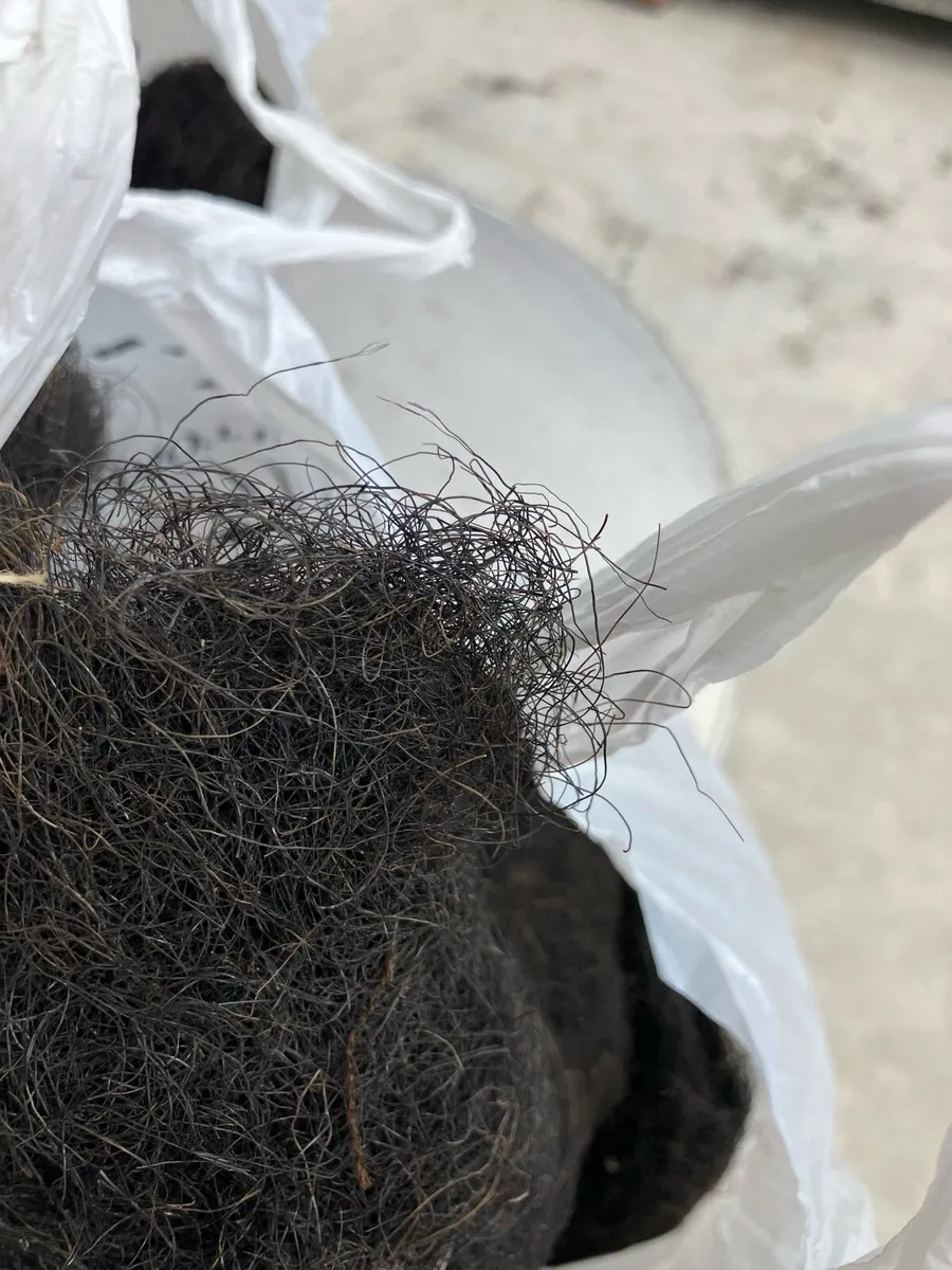 Horse hair upholstery filling - Image 2