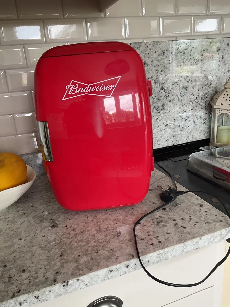Cooler / Fridge - Image 1