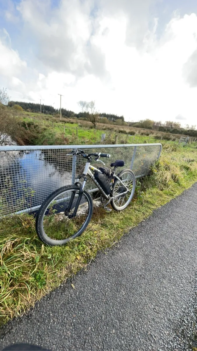48v 1000w electric bike - Image 1