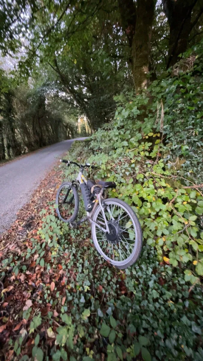 48v 1000w electric bike - Image 2