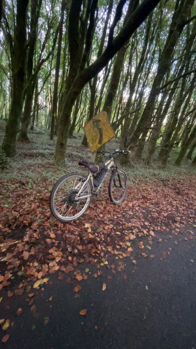 48v 1000w electric bike - Image 4