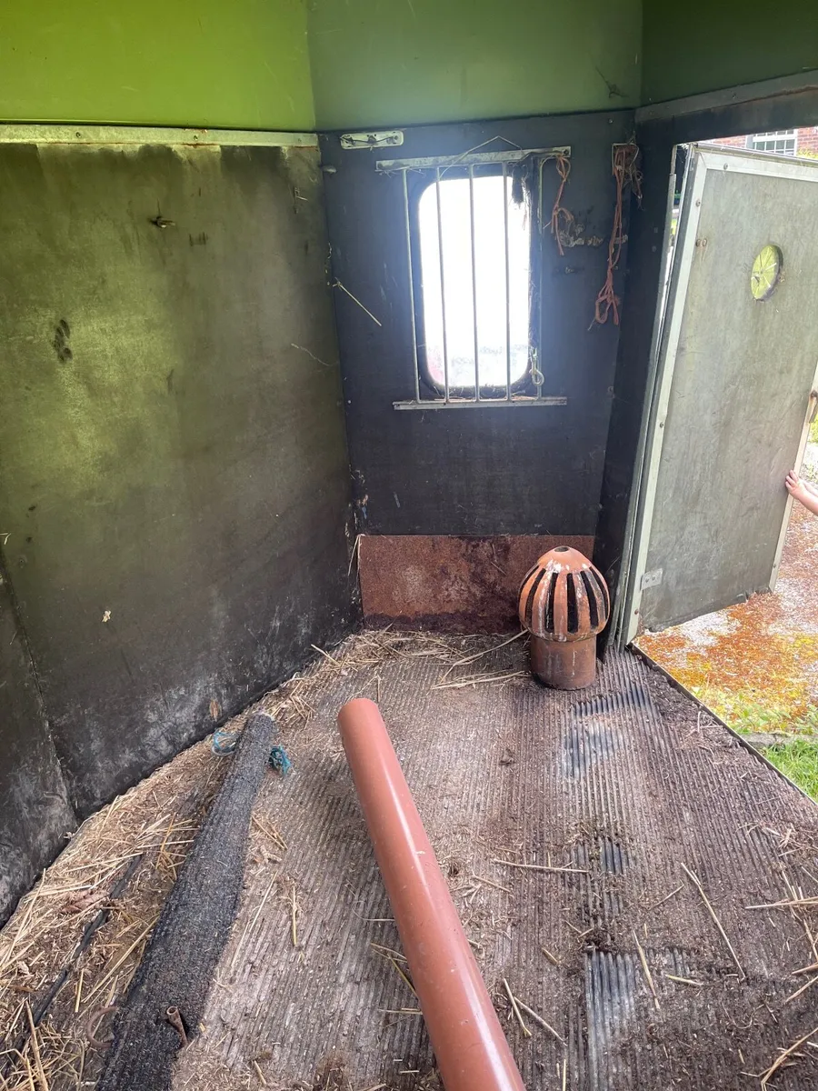 Horse box - Image 4
