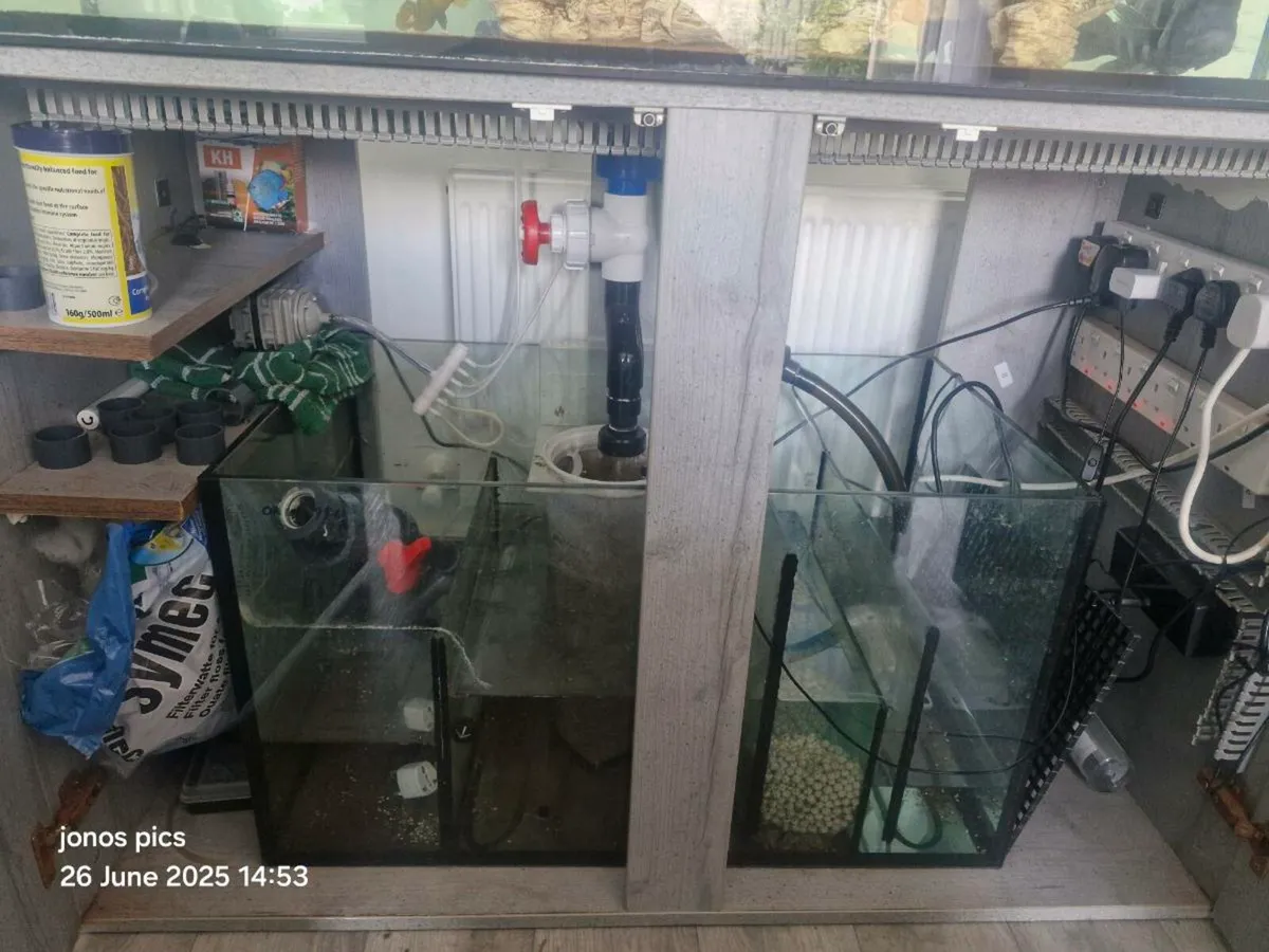 Fish tank for sale with sump and accessories - Image 3
