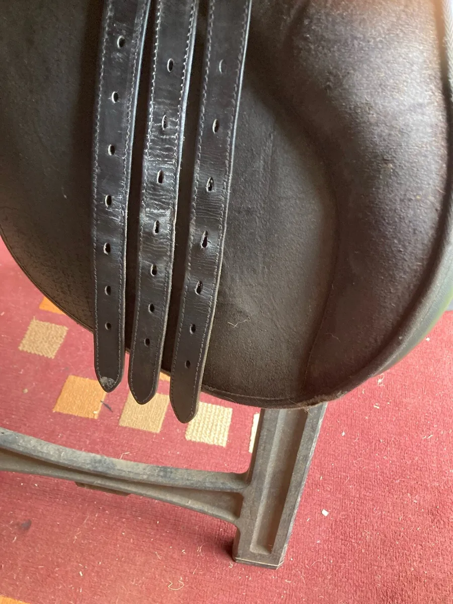 17 inch wintec saddle - Image 4