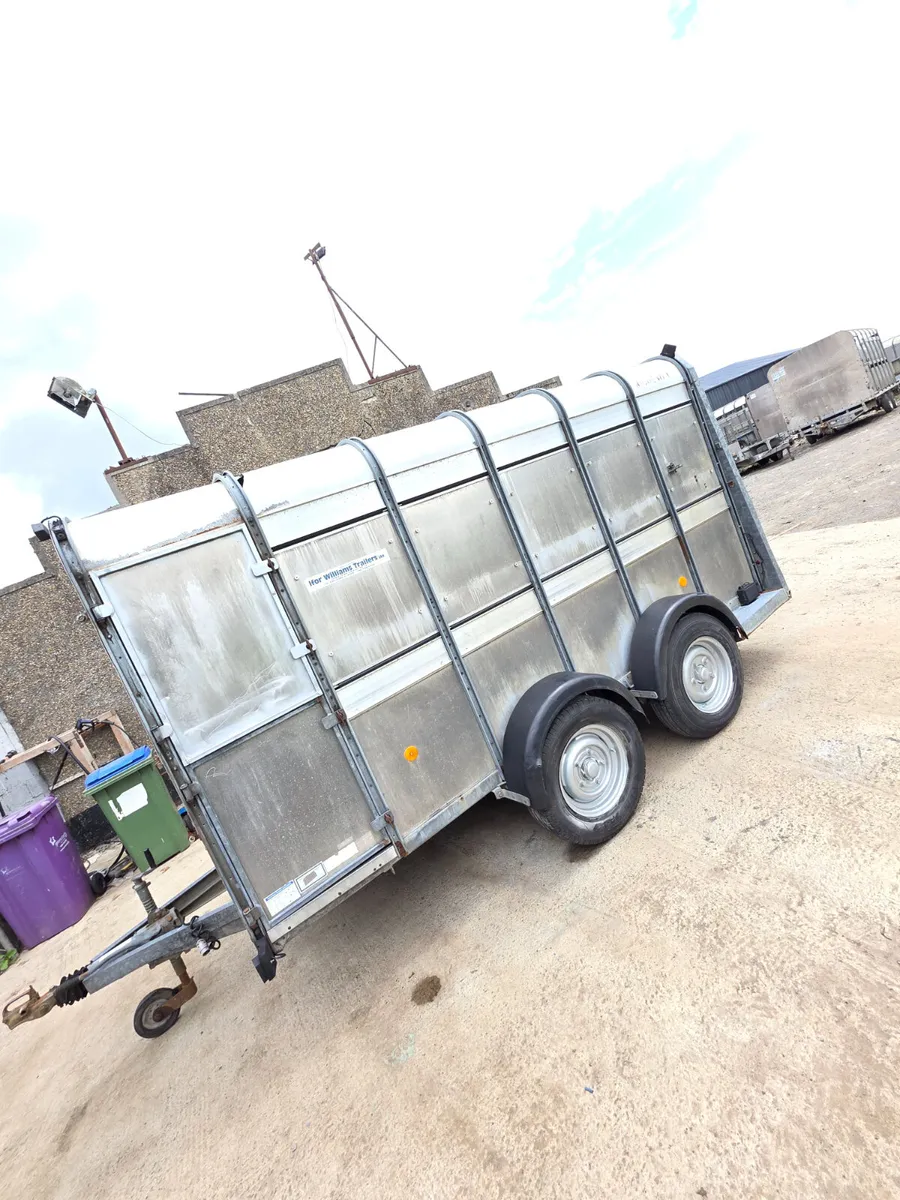 12ft ifor Williams livestock trailer - Image 1
