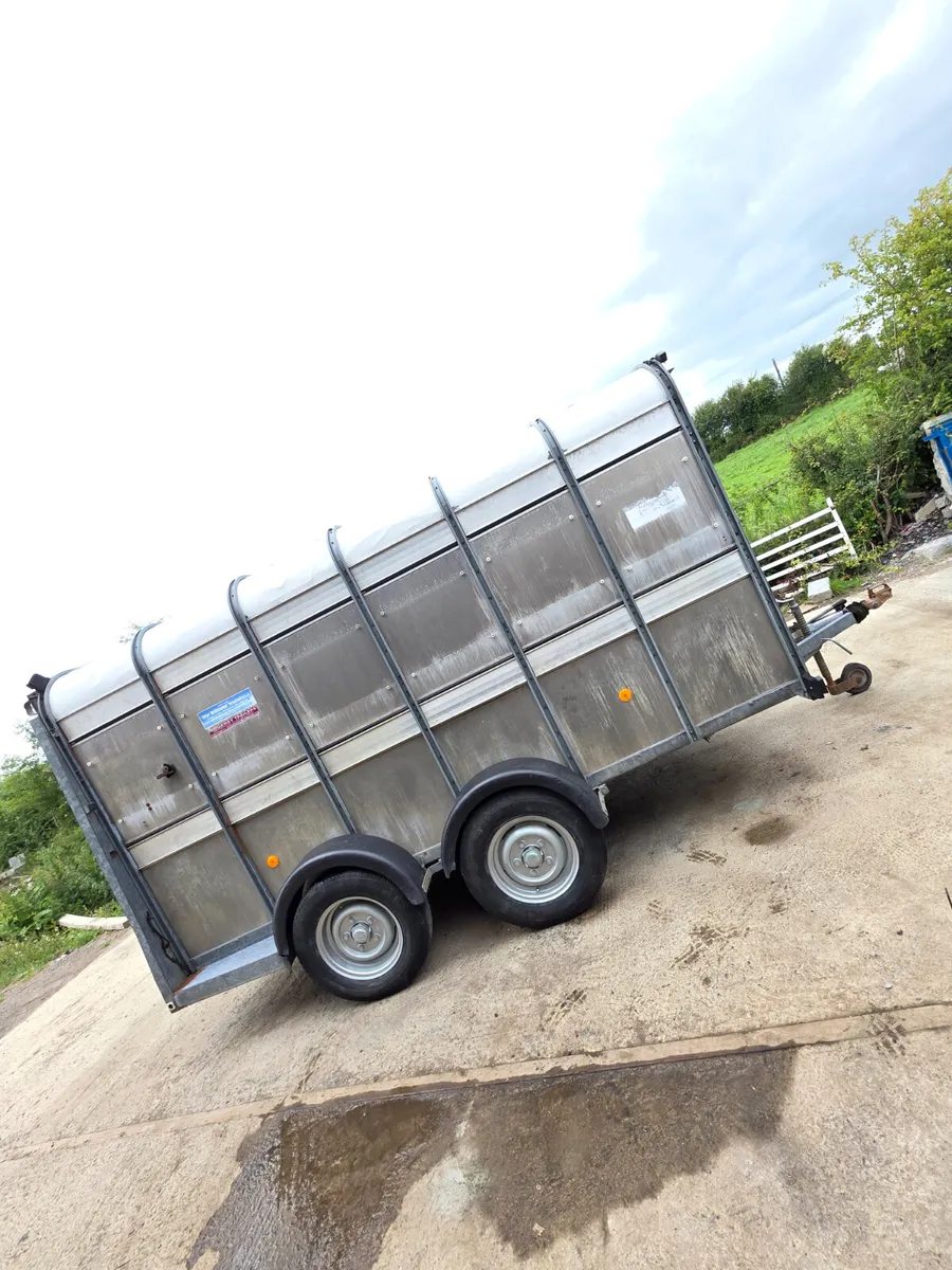 12ft ifor Williams livestock trailer - Image 2