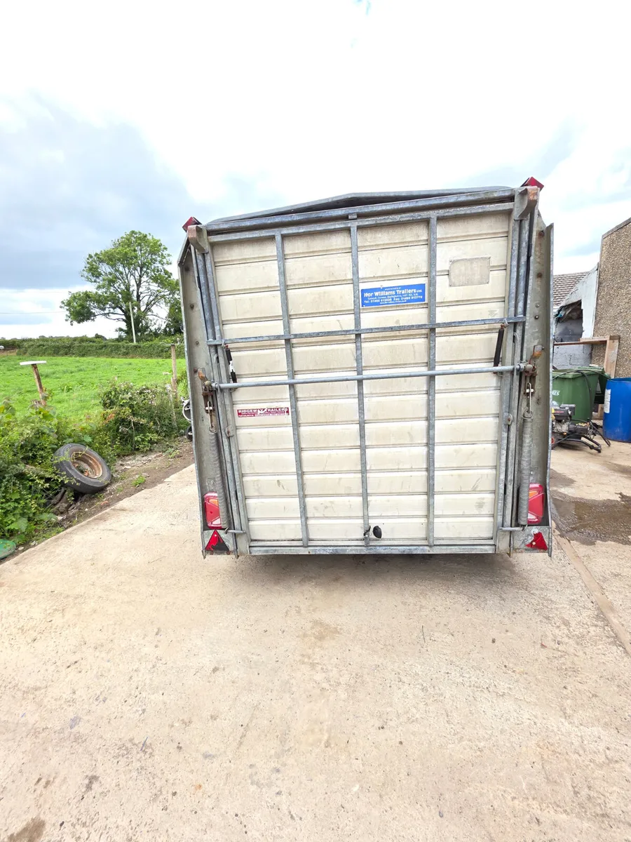 12ft ifor Williams livestock trailer - Image 4