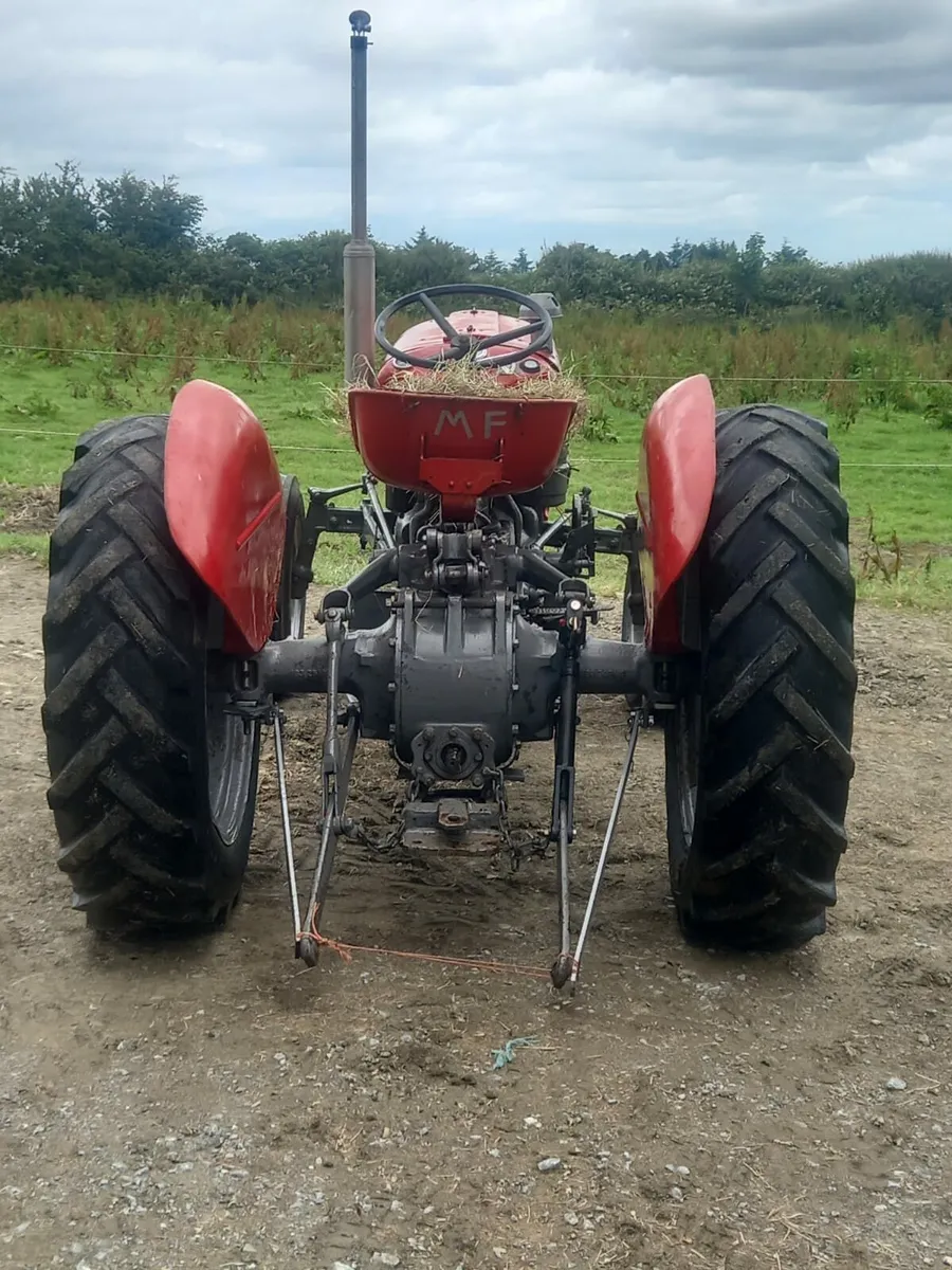 Massey Ferguson - Image 4