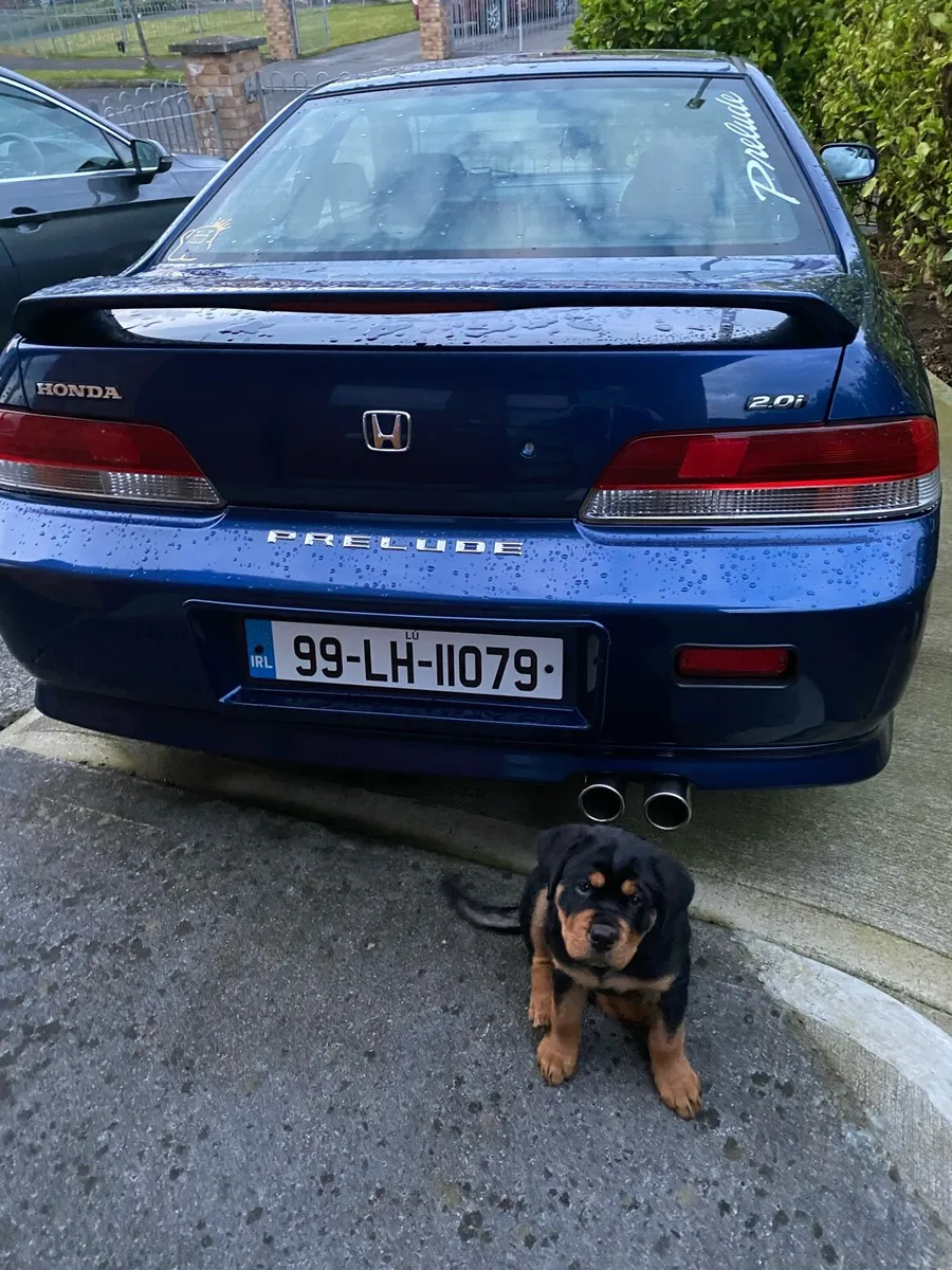 Honda Prelude 5th Gen - Image 3