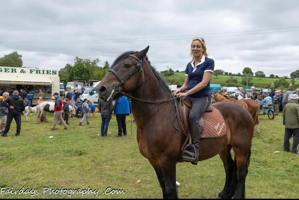 Heavy hunting cob for sale - Image 4