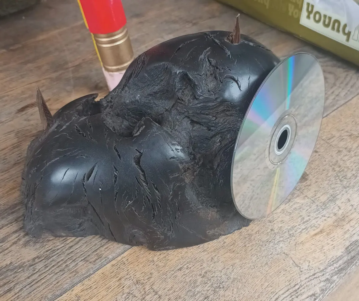 5,600 year old bog oak base, D18, post 10e - Image 1