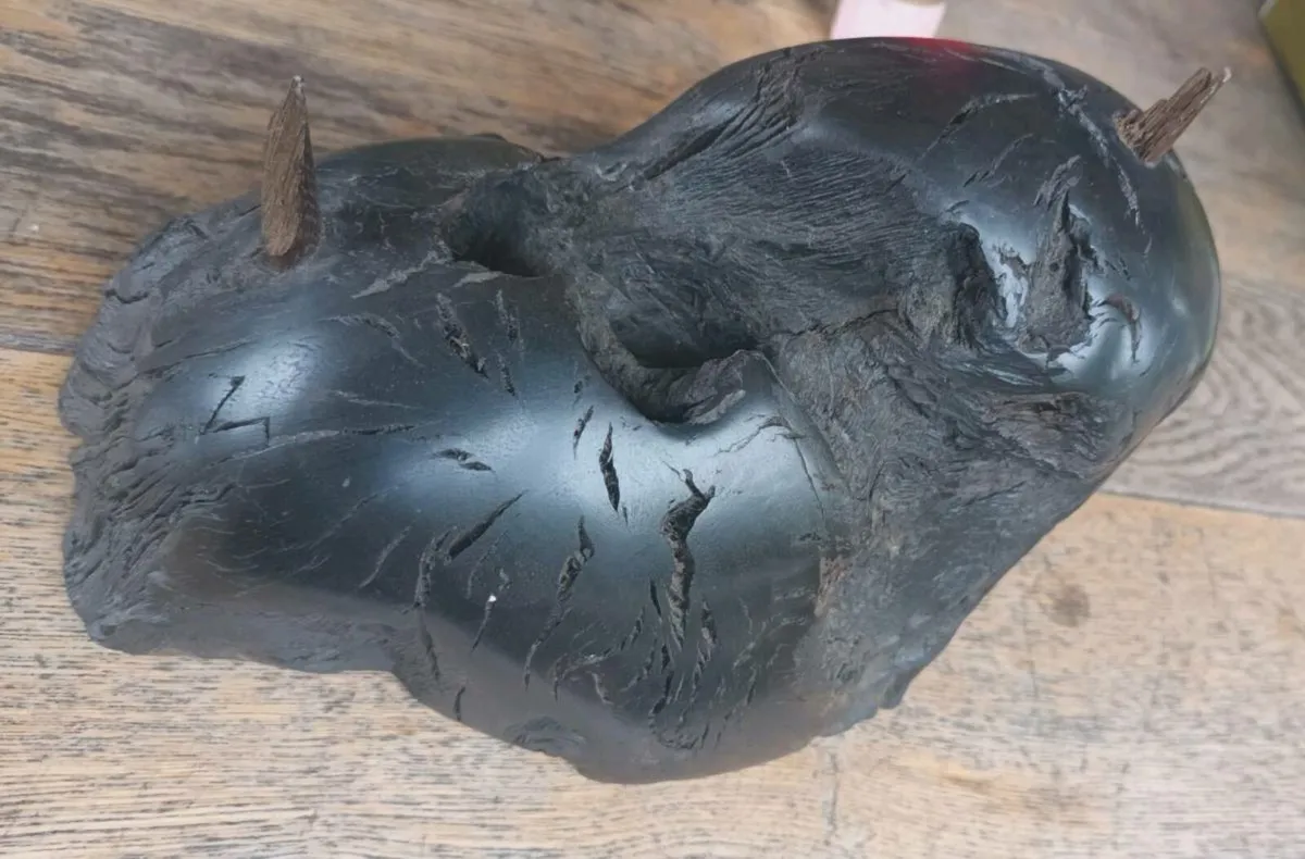 5,600 year old bog oak base, D18, post 10e - Image 2