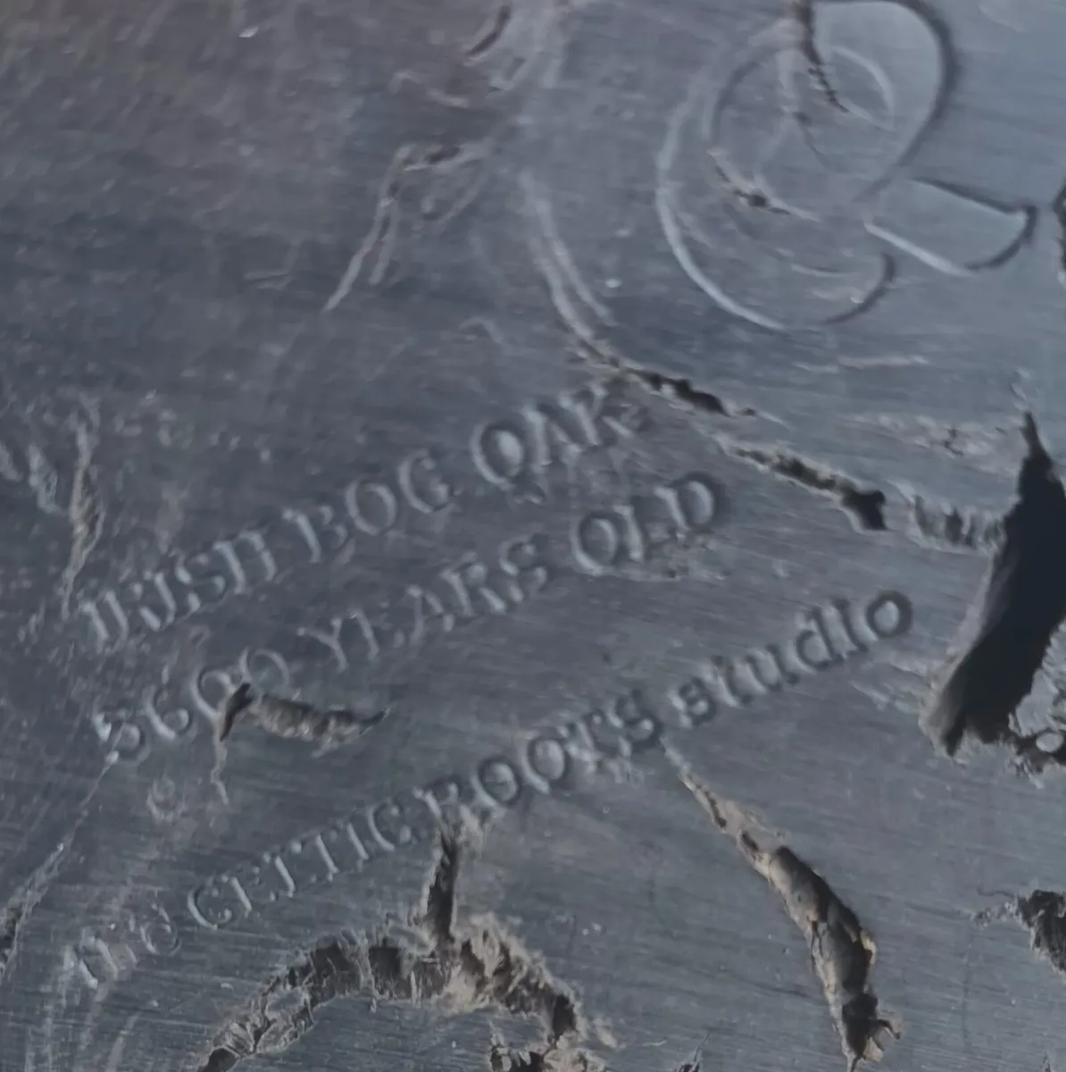 5,600 year old bog oak base, D18, post 10e - Image 4