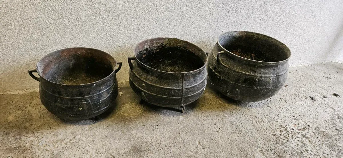 Cauldron Planting Pots