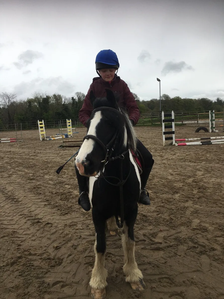 Bombproof 13.2 for long term loan/sale - Image 4