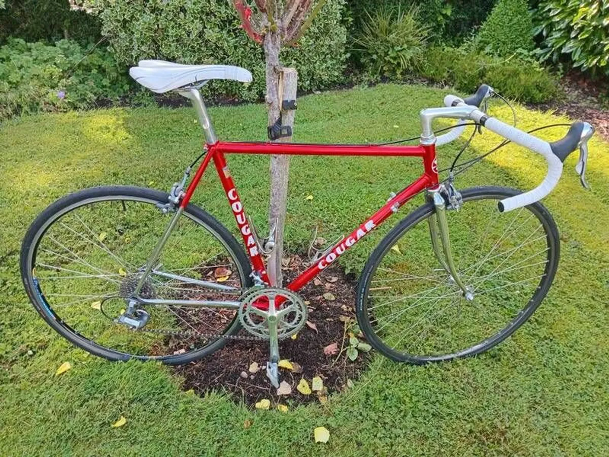 Cougar Road Bike 54 cm 9.3 kg - Image 1