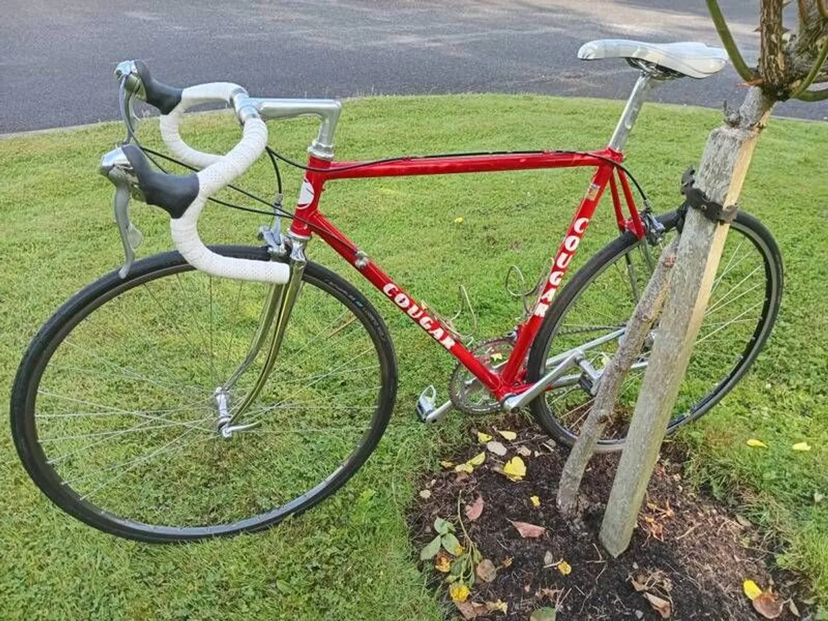 Cougar Road Bike 54 cm 9.3 kg - Image 2