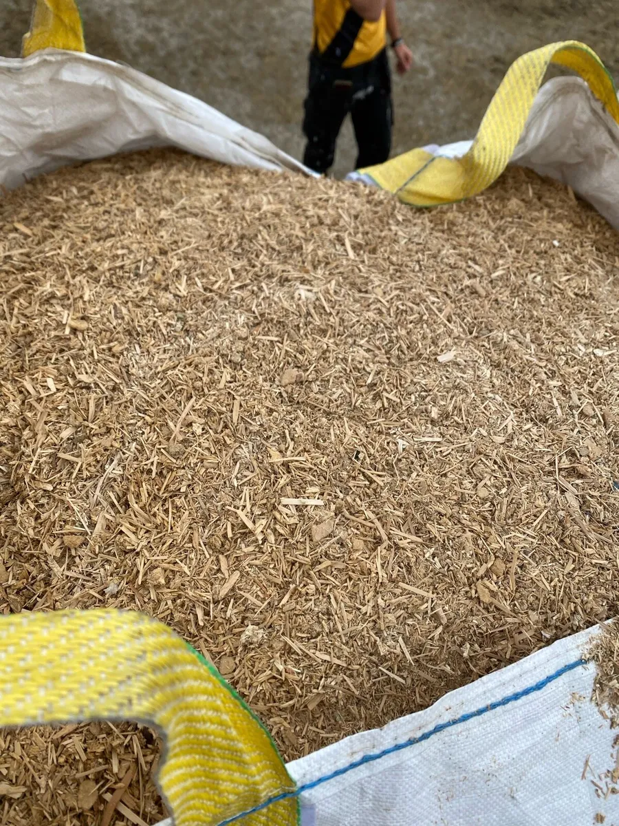 Sawdust bedding - Image 3