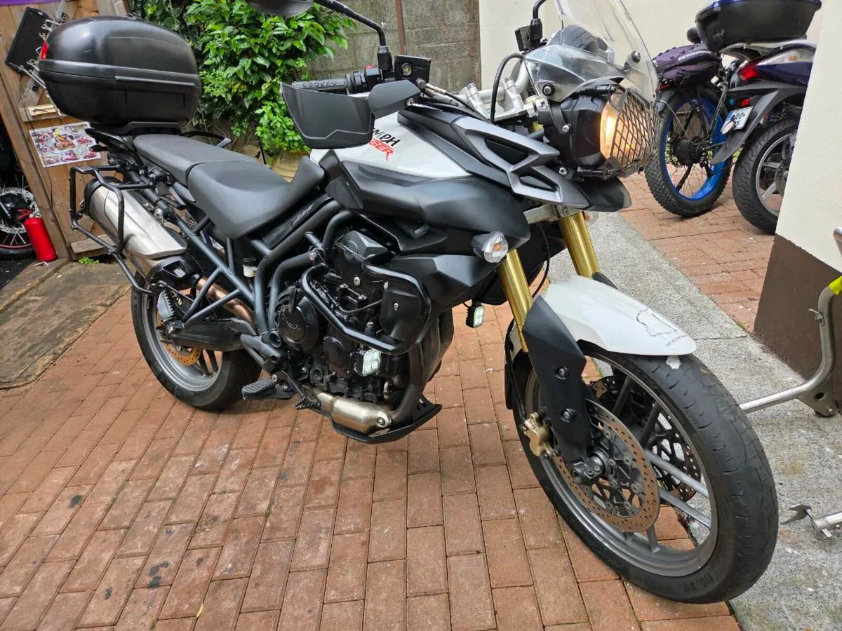 Triumph Tiger - Image 3