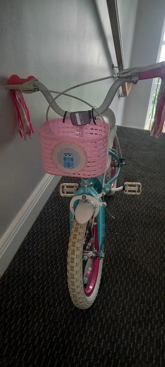 Bike - Image 2