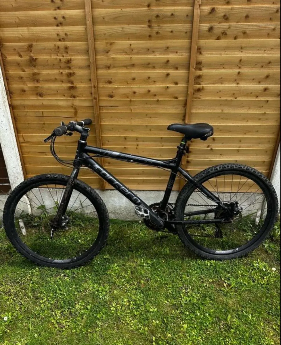 Bike - Image 1