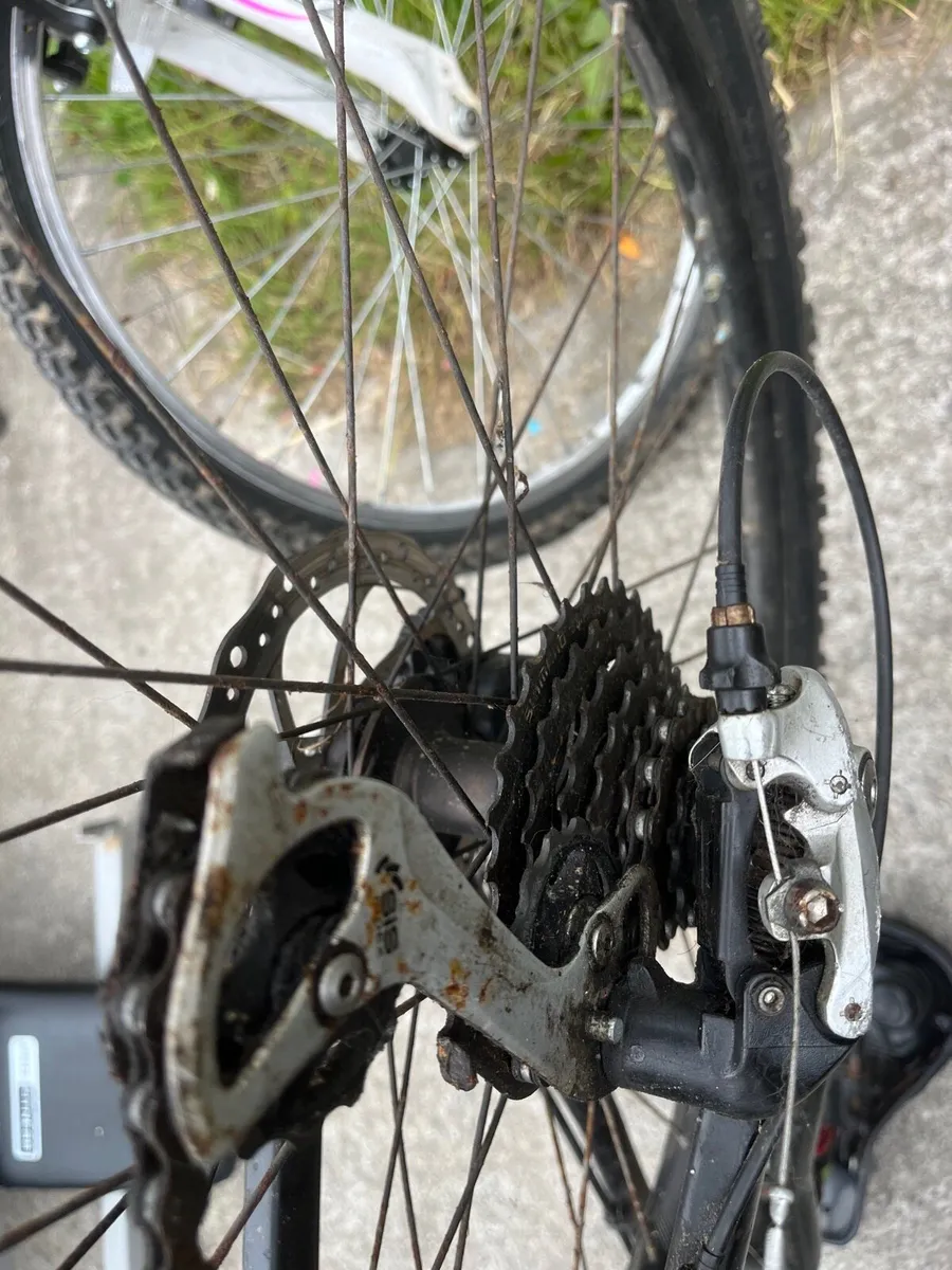 Bike - Image 2