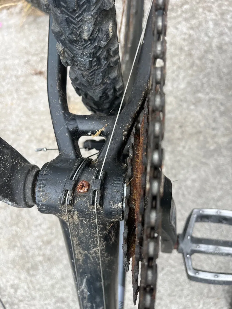 Bike - Image 3