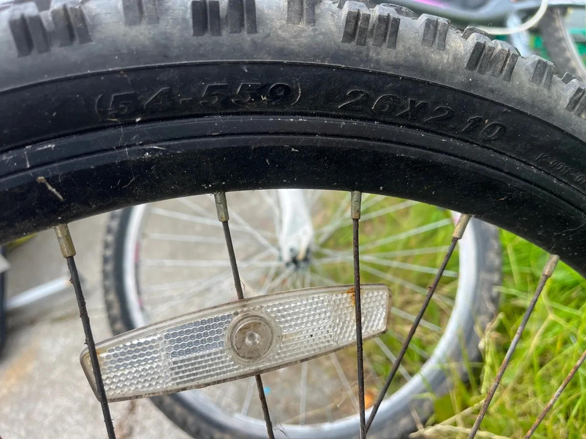 Bike - Image 4