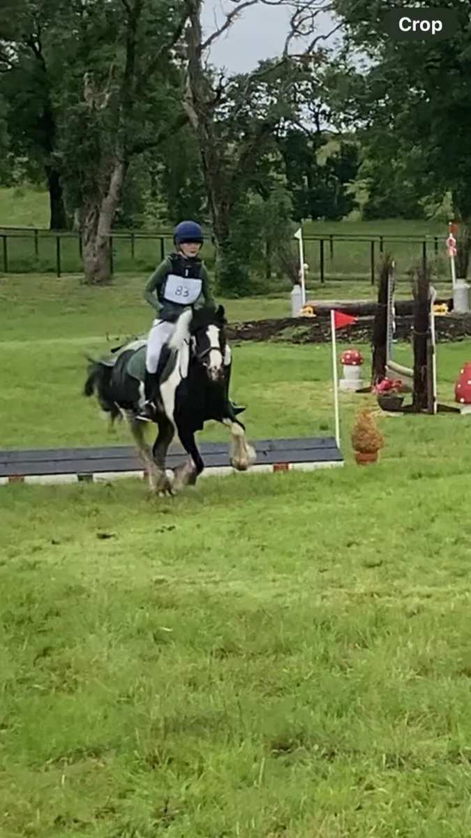 Bombproof 13.2 for long term loan/sale - Image 1