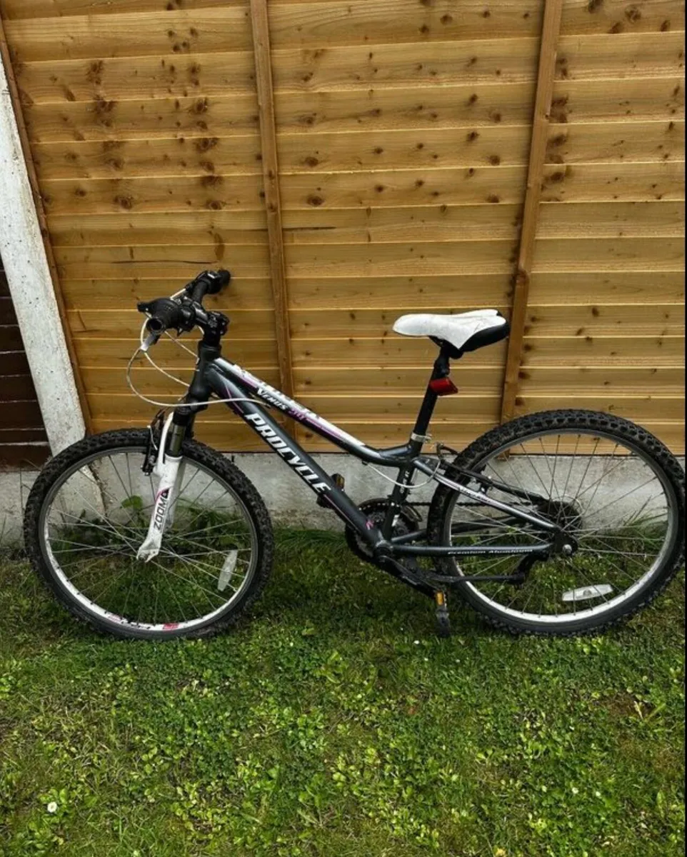 Bike - Image 1