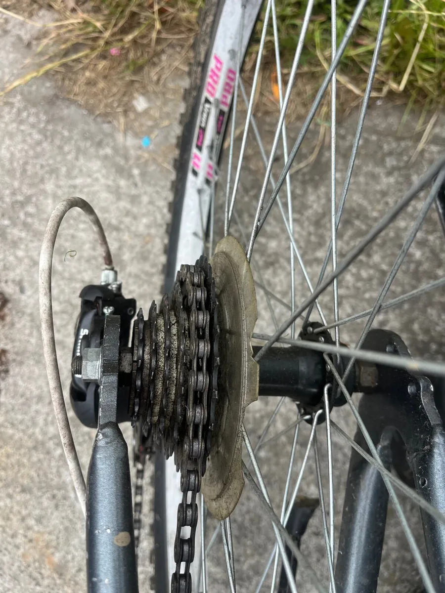 Bike - Image 2
