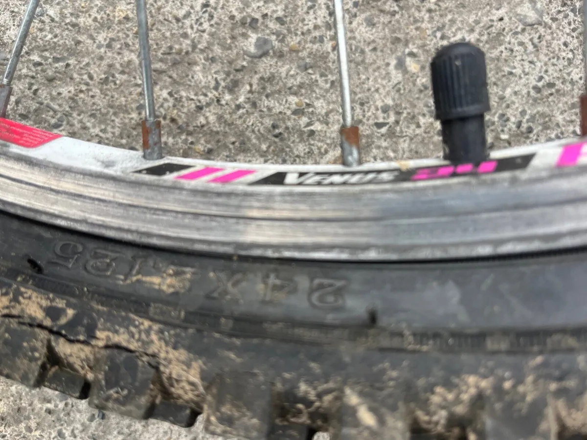 Bike - Image 4