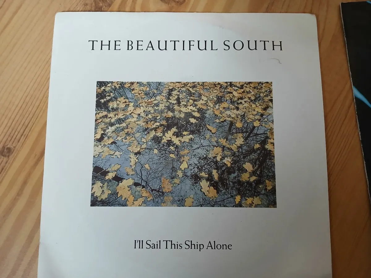 Vinyl records - Image 4