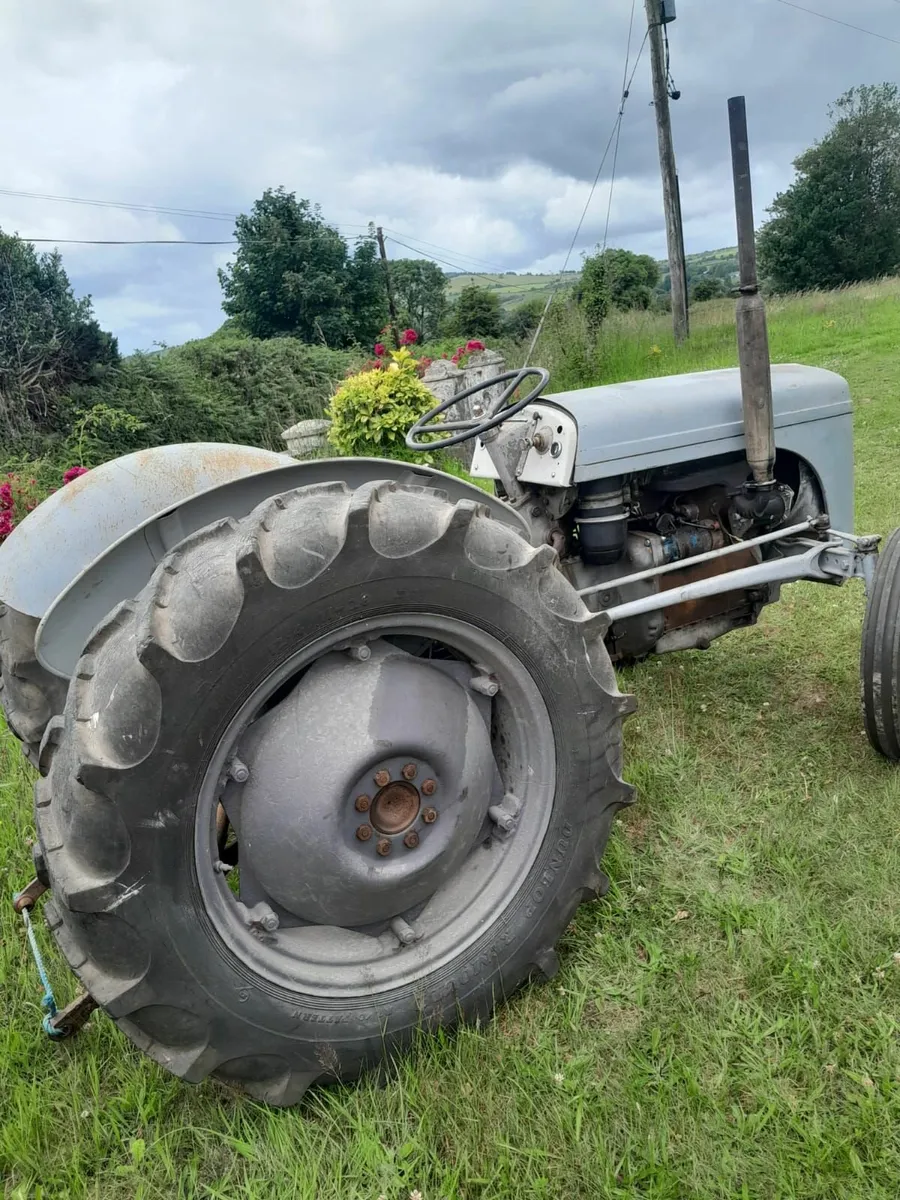 1956 Ferguson & Fingerbar Mower - Image 4
