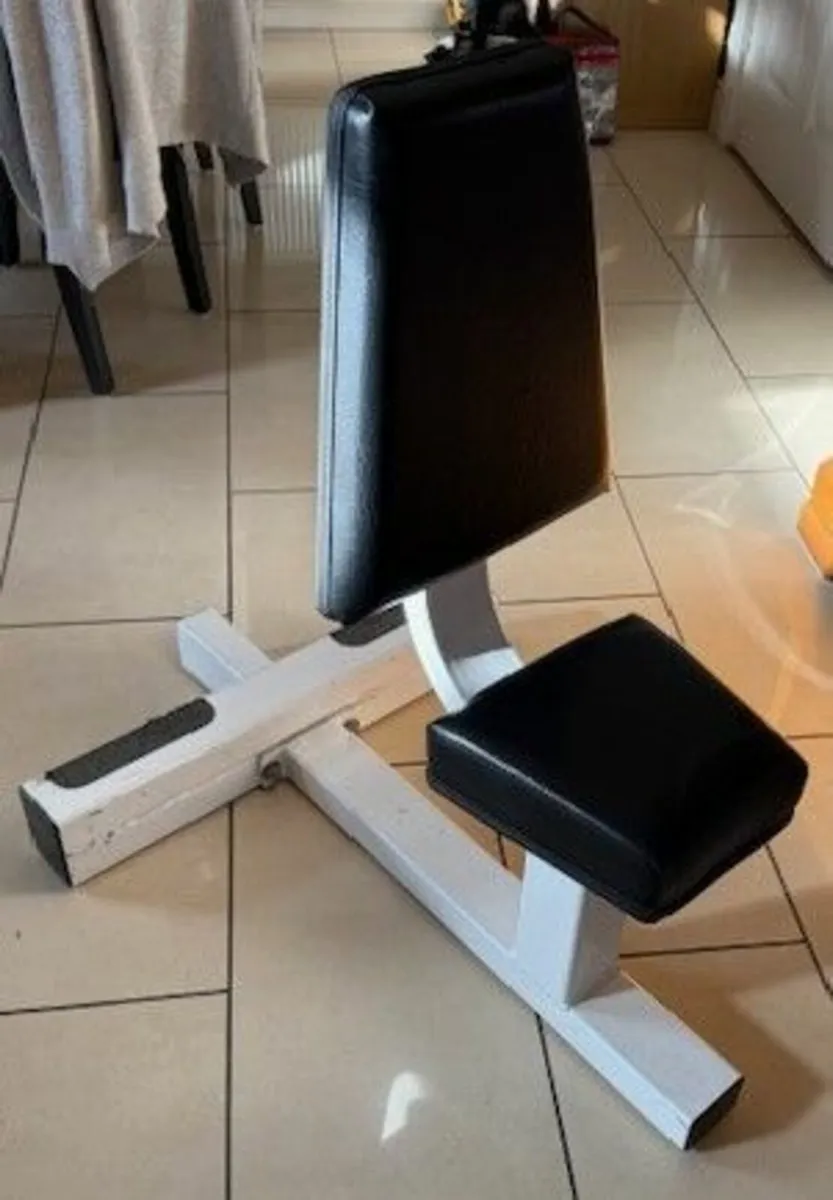 Exercise Seat - Dumbell & Calf raises - Image 1
