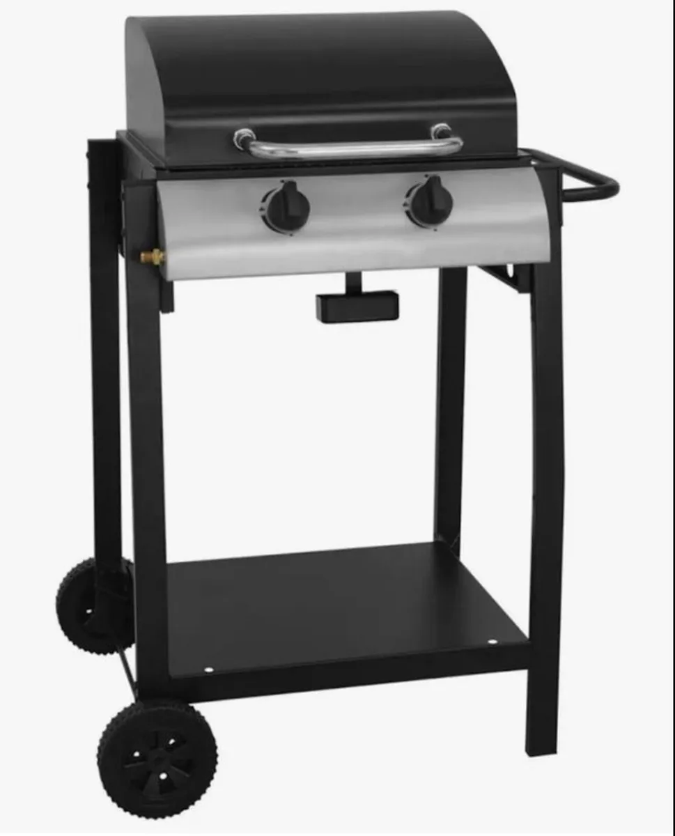 New 2 burner Gas BBQ - Image 1