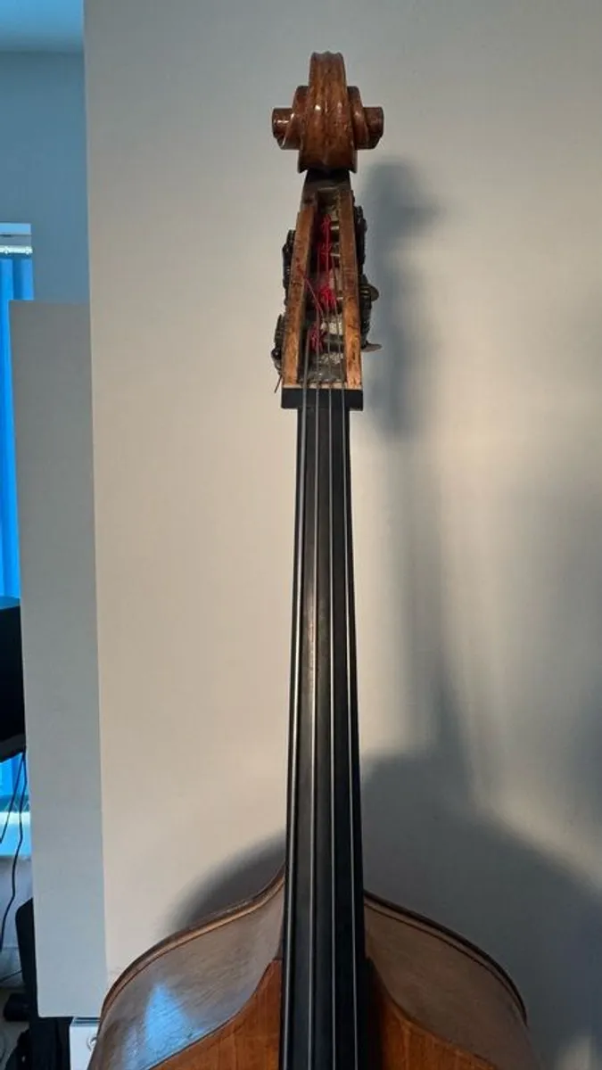 Double bass (blonde, laminate, old, Irish jazz history) - Image 1