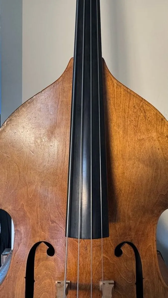 Double bass (blonde, laminate, old, Irish jazz history) - Image 2