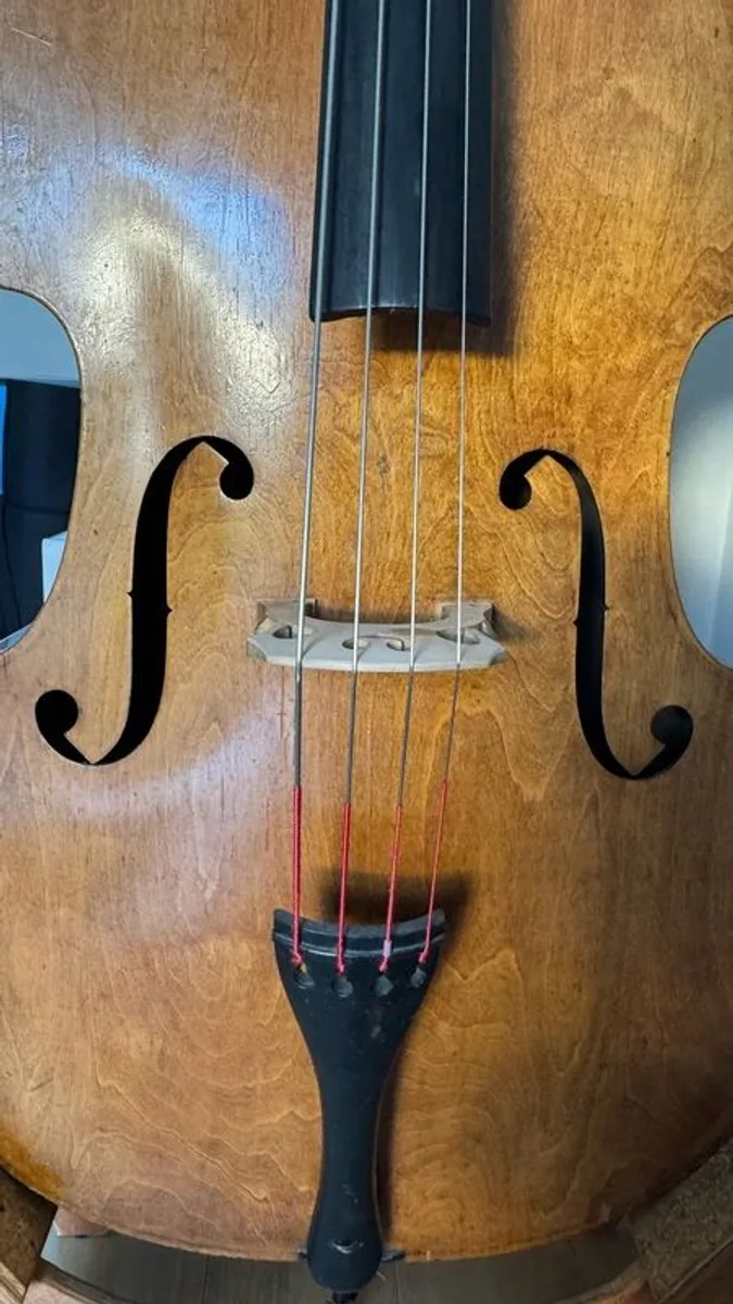 Double bass (blonde, laminate, old, Irish jazz history) - Image 3