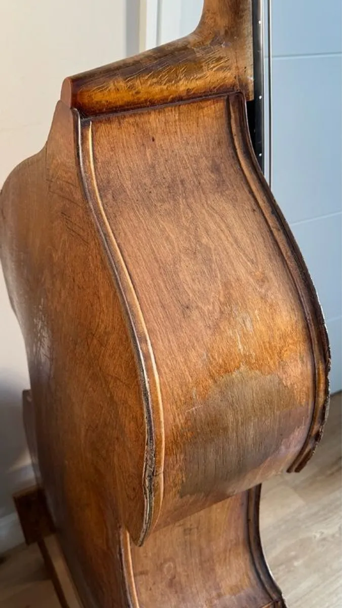 Double bass (blonde, laminate, old, Irish jazz history) - Image 4