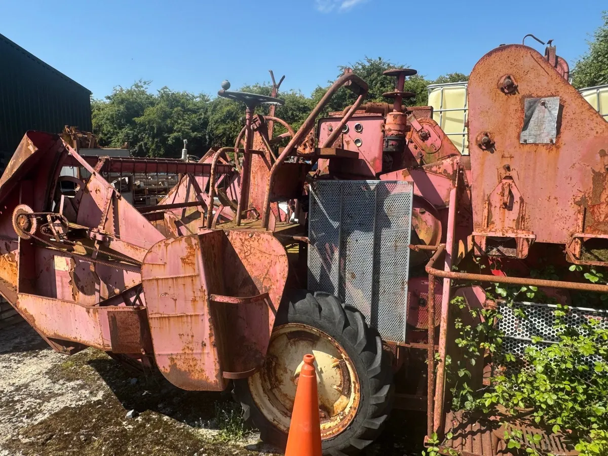 Massey Ferguson combine - Image 2