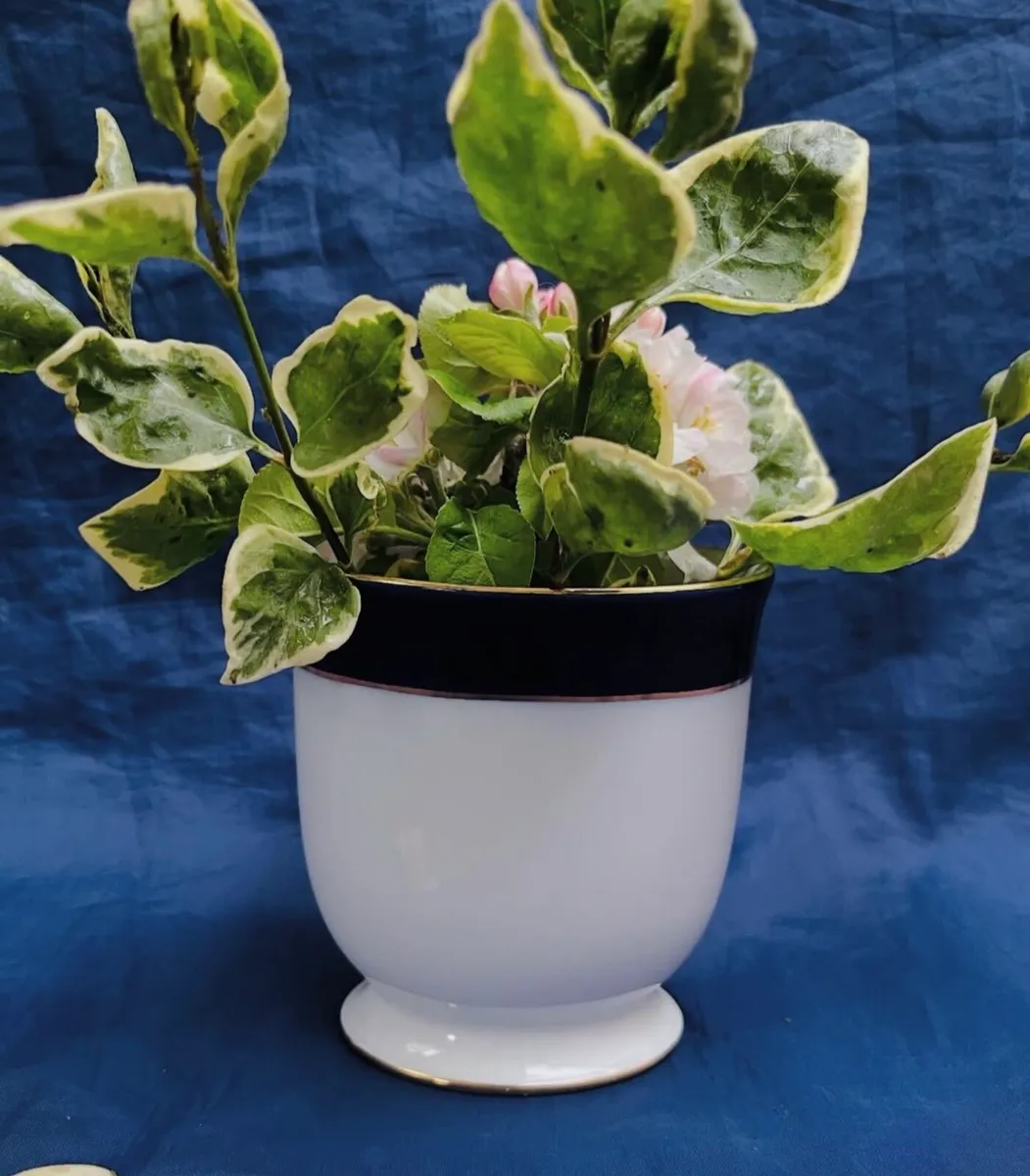 Arklow vase - Image 3