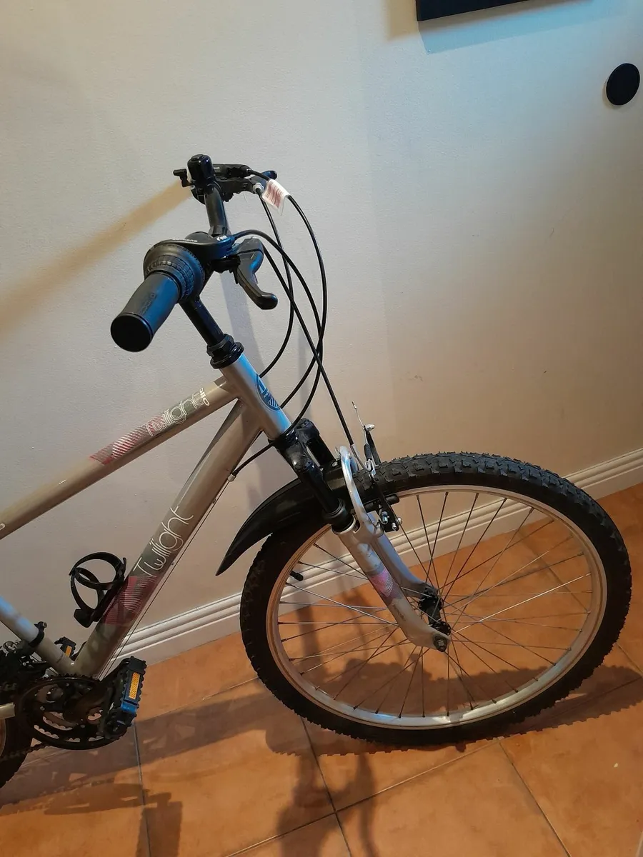 Bicycle - Image 4