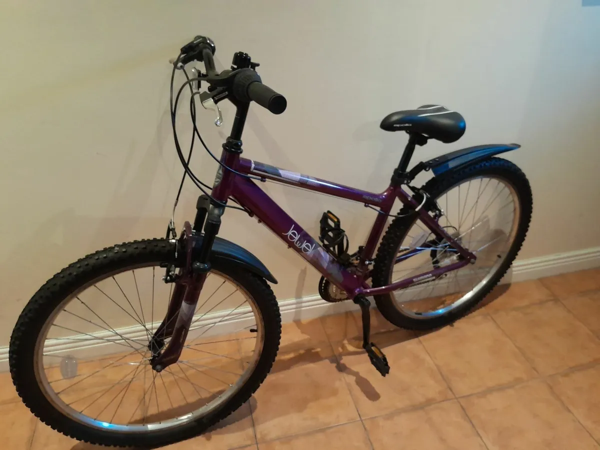Bicycle - Image 4